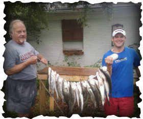 Speckled Trout Mobile Bay
