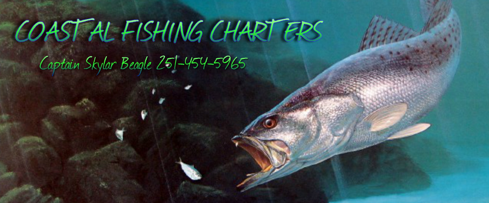 FishingBooker: Mobile, Alabama Fishing: The Complete Guide for 2023